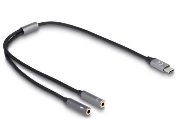 Delock 66616 USB C naar microfoon en audio adapter