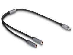 Delock 66616 USB C naar microfoon en audio adapter