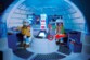 Playmobil 9055 QG Explorateurs Polaires (Hoofdkwartier Poolexpeditie)