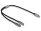 Delock 66616 USB C naar microfoon en audio adapter