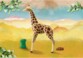 Playmobil Wiltopia giraf